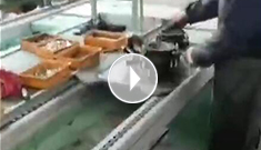 辰力手拉葫蘆車間，手拉葫蘆流水作業(yè)中